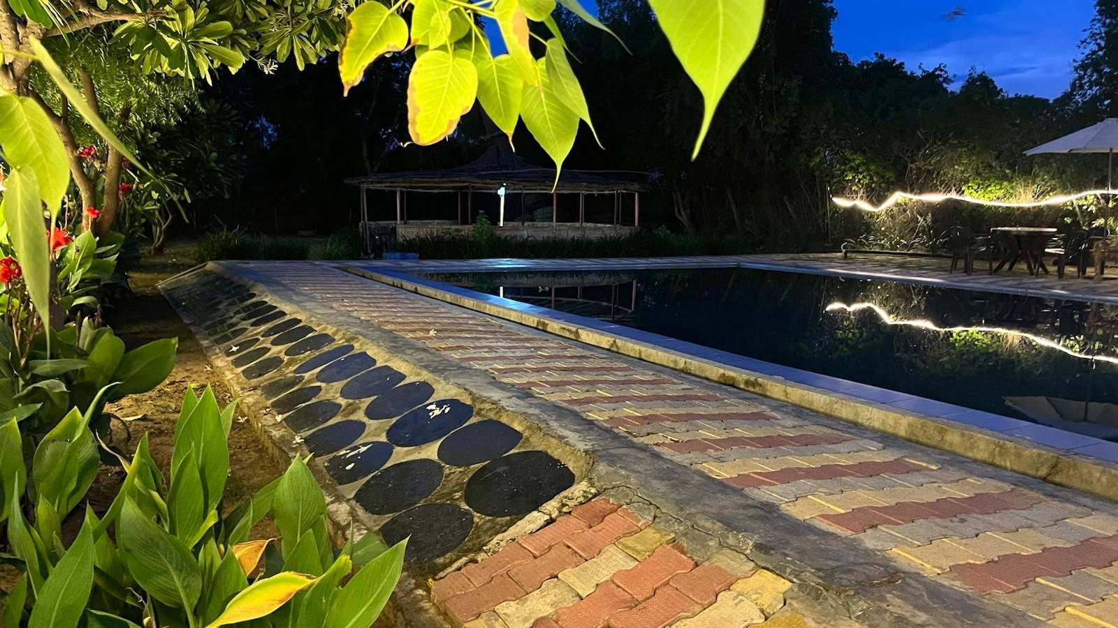 Pathway leading to the poolside at night