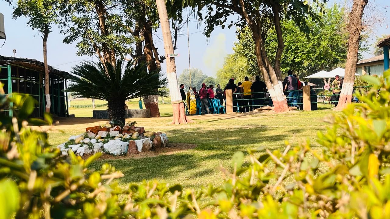 Trees, hedges and open garden space at The DNA Camp