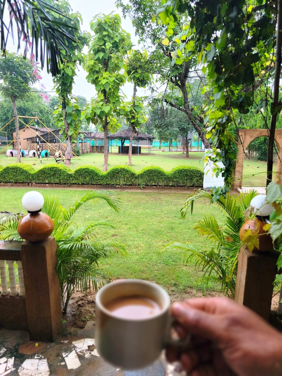 Guests around a table outdoors with tea